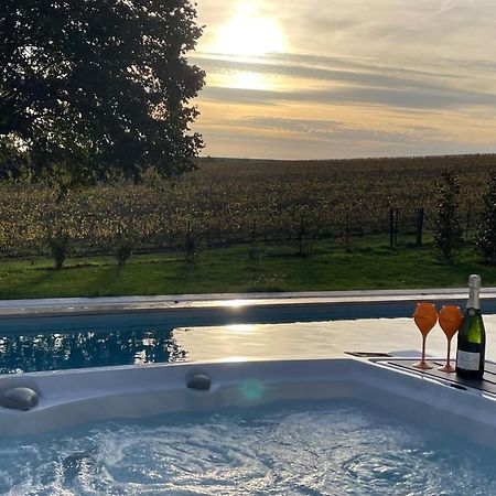 Best View, Pool And Spa On The Champagne Vineyard Saint-Thierry Dış mekan fotoğraf