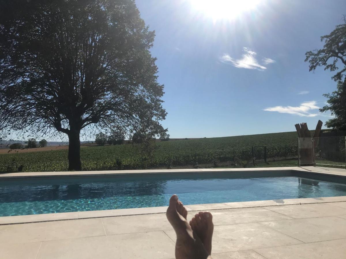 Best View, Pool And Spa On The Champagne Vineyard Saint-Thierry Dış mekan fotoğraf