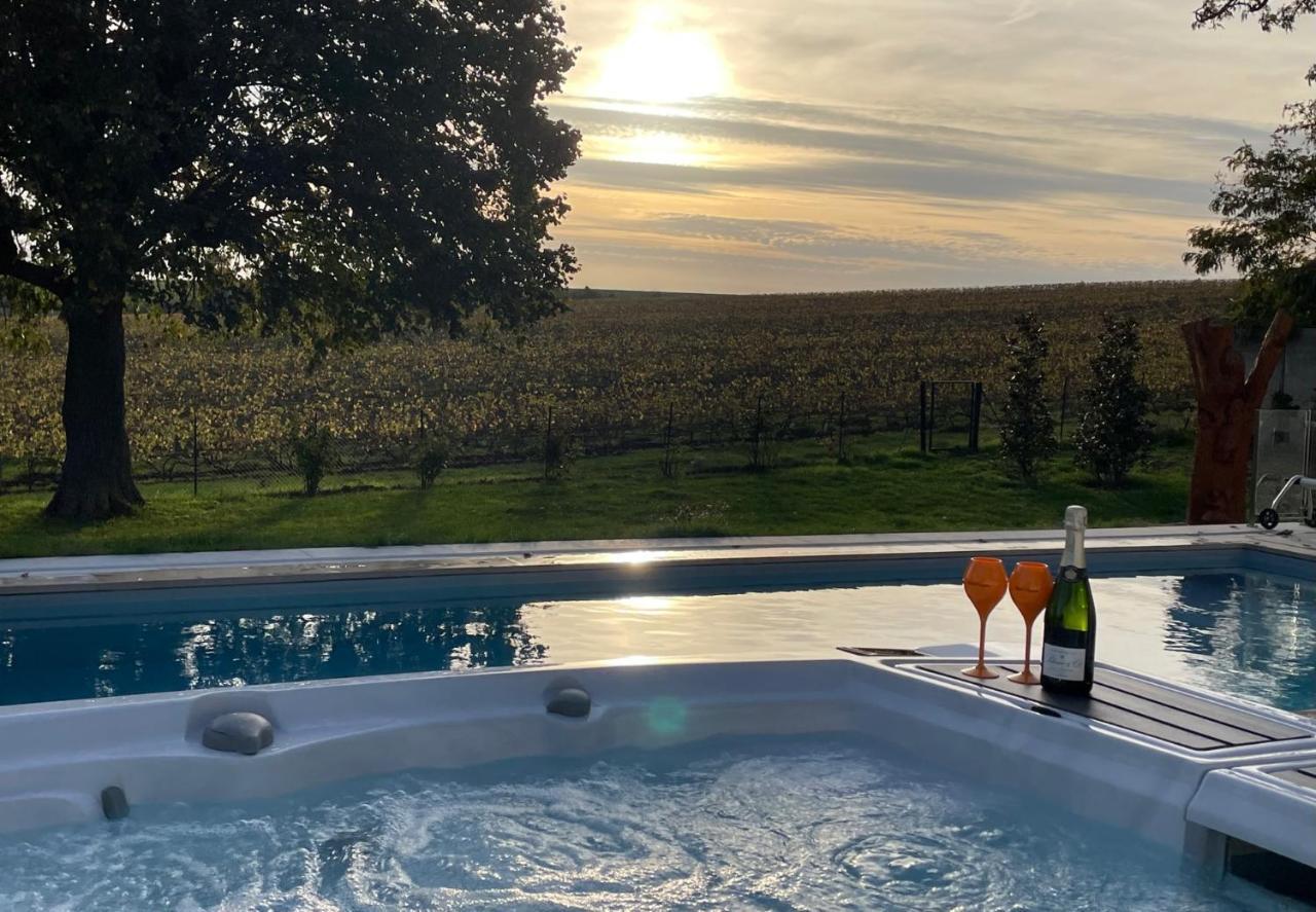 Best View, Pool And Spa On The Champagne Vineyard Saint-Thierry Dış mekan fotoğraf
