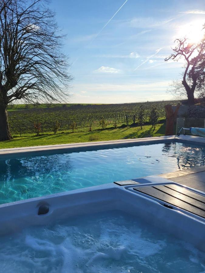 Best View, Pool And Spa On The Champagne Vineyard Saint-Thierry Dış mekan fotoğraf