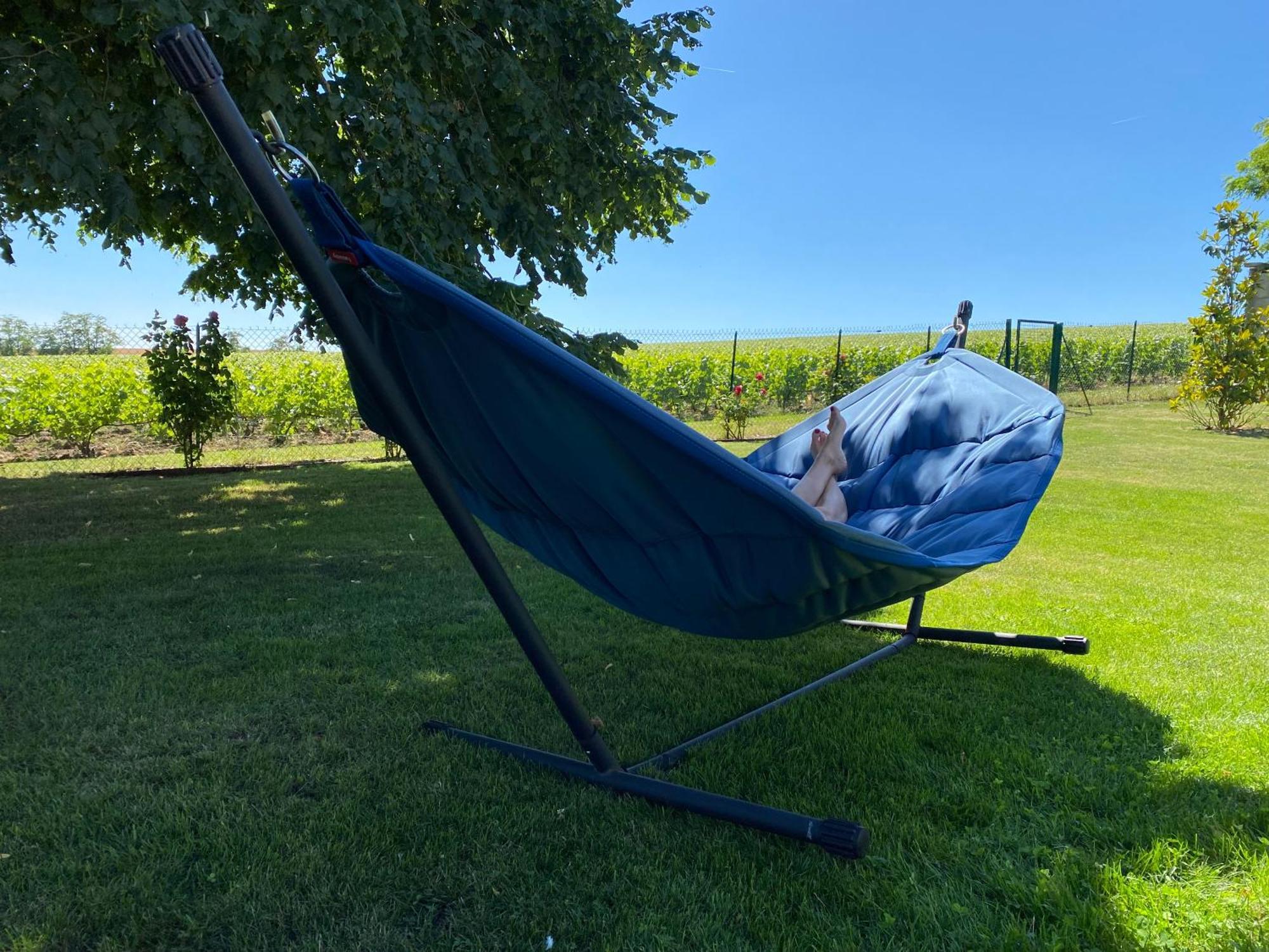 Best View, Pool And Spa On The Champagne Vineyard Saint-Thierry Dış mekan fotoğraf